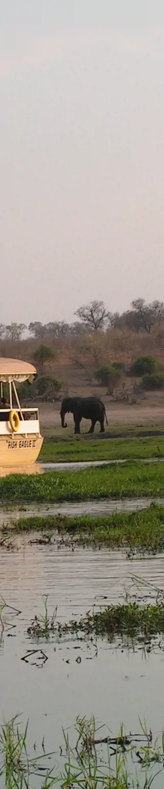 Geniesse eine Bootsfahrt auf dem Chobe River